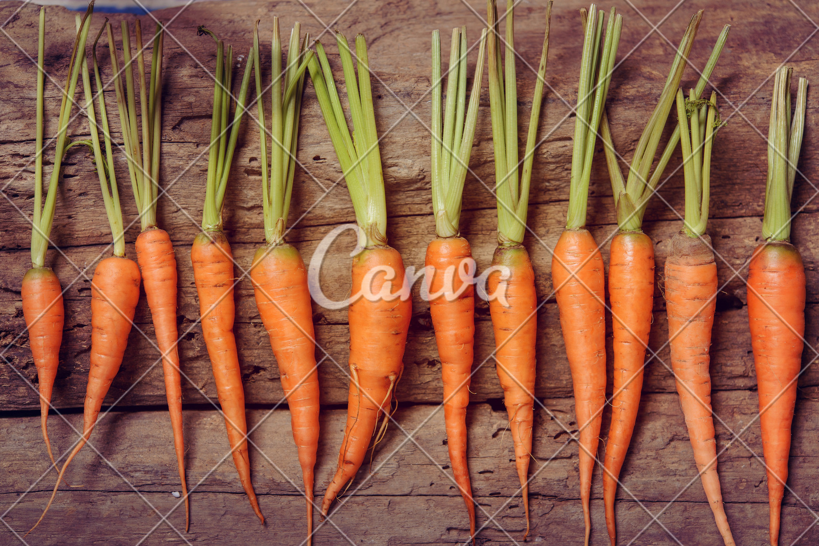 日本央行维持利率不变，但通胀预测超预期，或暗示加息可能性